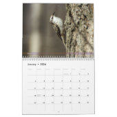 Calendrier 2ème d'oiseaux de jardin en série (Jan 2026)