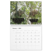 Calendrier 2yr. développement Robert E. Weiss de (Feb 2026)