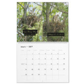 Calendrier 2yr. développement Robert E. Weiss de (Mar 2027)