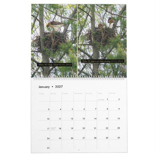 Calendrier 2yr. développement Robert E. Weiss de (Jan 2027)