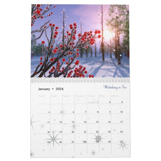 Calendrier 3 D SilverWebForge 2020 (Jan 2026)
