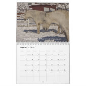 Calendrier #3 de chevaux de trait (Feb 2026)