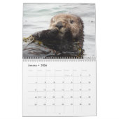 Calendrier #3 de la Manche de loutre de mer (Jan 2026)