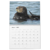 Calendrier #3 de la Manche de loutre de mer (Mar 2027)