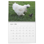 Calendrier 3 : Le troupeau du poussin de poulet (Mar 2026)