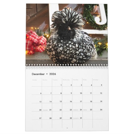 Calendrier 3 : Le troupeau du poussin de poulet (Dec 2026)