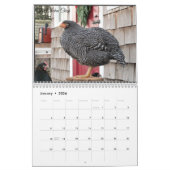 Calendrier 3 : Le troupeau du poussin de poulet (Jan 2026)