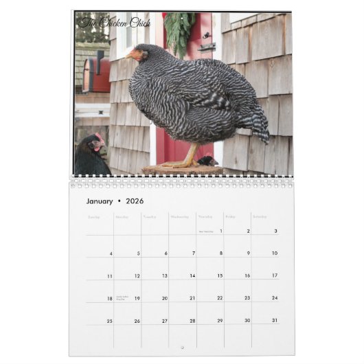 Calendrier 3 : Le troupeau du poussin de poulet (Jan 2026)