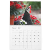 Calendrier 3 : Le troupeau du poussin de poulet (Feb 2027)