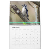 Calendrier 3ème d'oiseaux de jardin en série (Jan 2027)