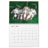 Calendrier 4 Bébé Varié Mice Grossissant (Mar 2026)