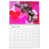 Calendrier 4 Bébé Varié Mice Grossissant (Feb 2026)