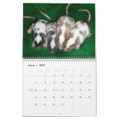 Calendrier 4 Bébé Varié Mice Grossissant (Mar 2027)