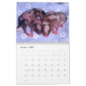 Calendrier 4 Bébé Varié Mice Grossissant (Jan 2027)