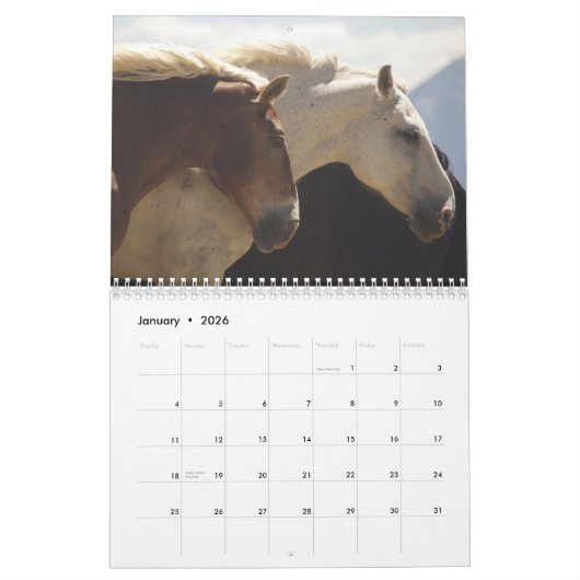 Calendrier #4 de chevaux de trait (Jan 2026)