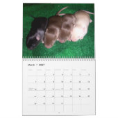 Calendrier 4 souris de bébé grandissant (Mar 2027)