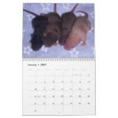 Calendrier 4 souris de bébé grandissant (Jan 2027)