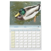Calendrier 5 d'oiseau (Jan 2026)