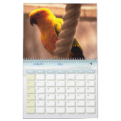 Calendrier 6 d'oiseau (Jan 2026)