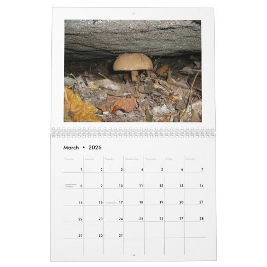 Calendrier - À l'étang (Mar 2026)