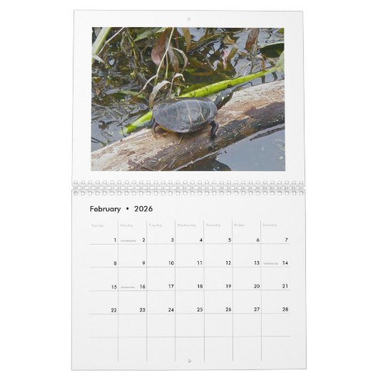 Calendrier - À l'étang (Feb 2026)