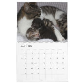 CALENDRIER A MOTHERS LOVE MAMACAT & HER KITTENS (Mar 2026)