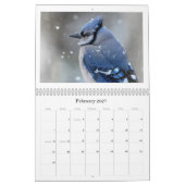 Calendrier A Photographer's Perspective  (Feb 2027)