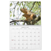 Calendrier A Squirrel's Tale 2026 Wall Calendar (Mar 2027)