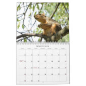 Calendrier A Squirrel's Tale 2026 Wall Calendar (Mar 2026)