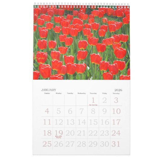 Calendrier a touch of red for 2025 (Jan 2026)