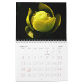 Calendrier a touch of yellow for 2025 (Jan 2026)