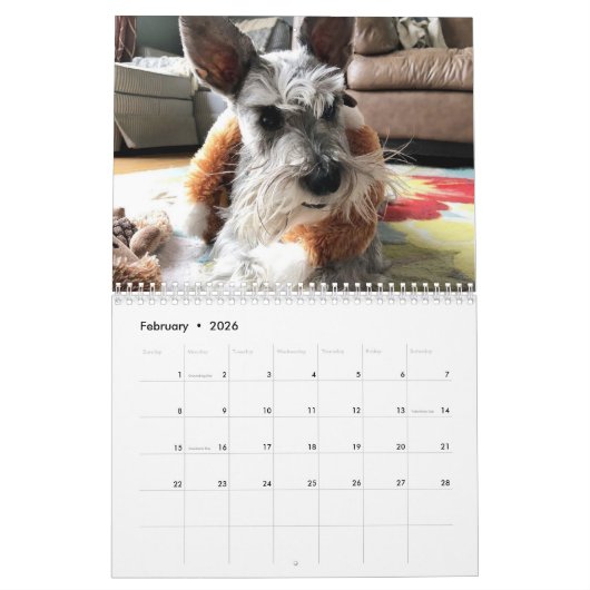 Calendrier À tous les jouets que j'ai aimés avant (Feb 2026)