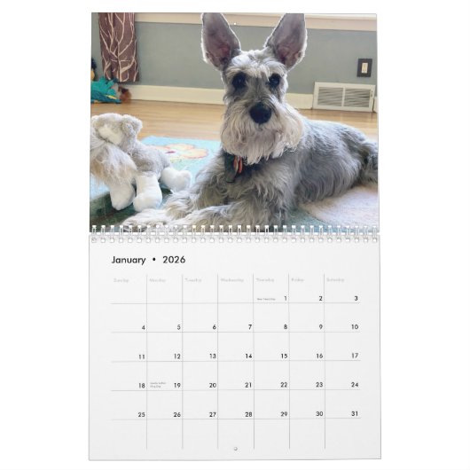 Calendrier À tous les jouets que j'ai aimés avant (Jan 2026)