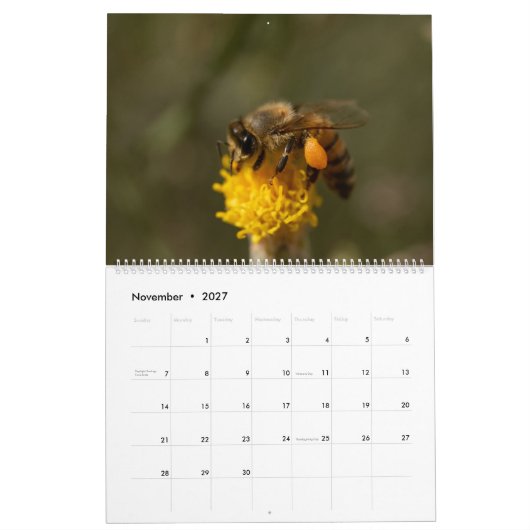 Calendrier abeille (Nov 2027)