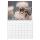 Calendrier Abeille 2026 (Mar 2027)