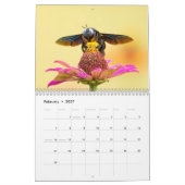 Calendrier Abeille 2026 (Feb 2027)