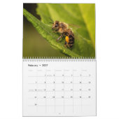 Calendrier abeille 2027 (Feb 2027)