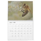 Calendrier Abeille 2027 (Mar 2027)