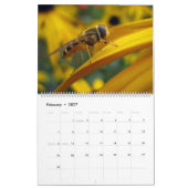 Calendrier Abeilles (Feb 2027)