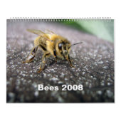 Calendrier Abeilles (Protection)