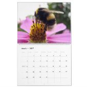 Calendrier Abeilles (Mar 2027)