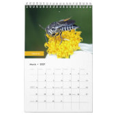 Calendrier Abeilles (Mar 2027)