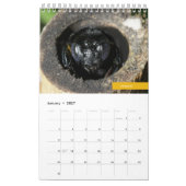 Calendrier Abeilles (Jan 2027)