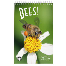 Abeilles