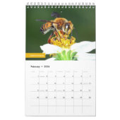 Calendrier Abeilles (Feb 2026)