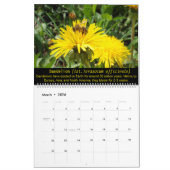 Calendrier abeilles et fleurs 2025 (Mar 2026)