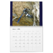 Calendrier - Abeilles, frelons et guêpes (Mar 2026)