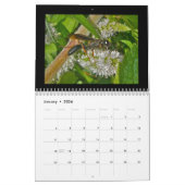 Calendrier - Abeilles, frelons et guêpes (Jan 2026)