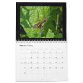 Calendrier - Abeilles, frelons et guêpes (Feb 2027)