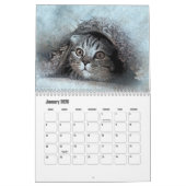 Calendrier Abstract Art Cat (Jan 2026)